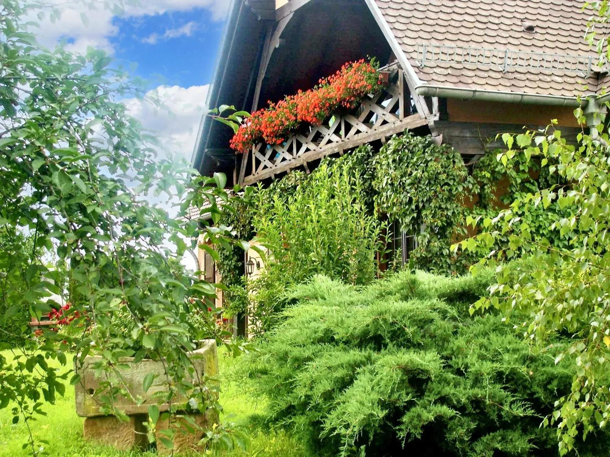 Appartement Charmant A Hochfelden 100 M² Et Parking Gratuit Gottesheim Ngoại thất bức ảnh